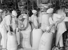 Women working in flour mill, 1918
