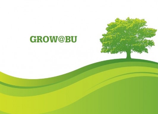 grow-at-bu-tree