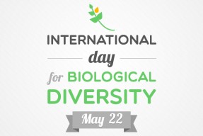 biological-diversity