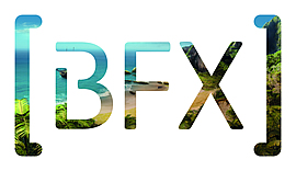 BFX Logo